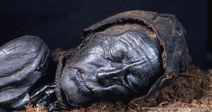 The Tollund man's last meal