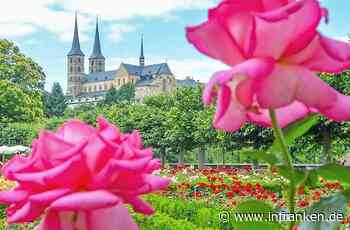 10 Orte in Bamberg, die du unbedingt kennen solltest - die Domstadt von ihrer schönsten Seite - inFranken.de
