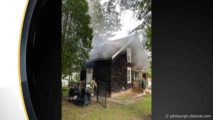 Fire Crews Rescue Pet Chinchilla From Burning Home