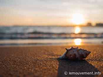 Nettoyage d'été sur les plages de Frontignan : "écocitoyens" action ! - Le Mouvement - lemouvement.info