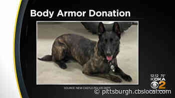 New Castle Police K-9 Frankie Gets New Body Armor