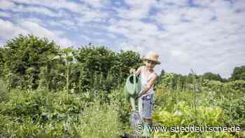 Der Garten des Lebens - Süddeutsche Zeitung