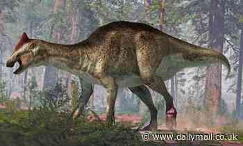 Fossils: Duck-billed dino found in Argentina had a foot tumour and two tail fractures, study reveals