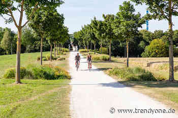 Stadt Neu-Ulm informiert über Maßnahmen zur Verbesserung des Radverkehrs - TRENDYone - das Lifestylemagazin