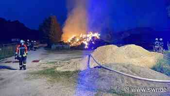 Eine Million Euro Schaden nach Feuer auf Pferdehof in Ulm - SWR