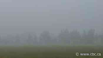 Air quality in southern Alberta expected to worsen as more smoke blows in