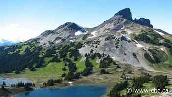 Man missing in B.C. backcountry for 2 weeks found by wildfire crews