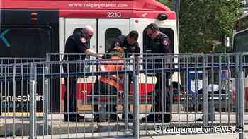 Man in police custody after reports of a gun on Calgary LRT