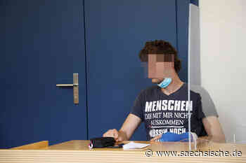 Riesa: DNA-Spur nach Laubeneinbruch umstritten - Sächsische.de