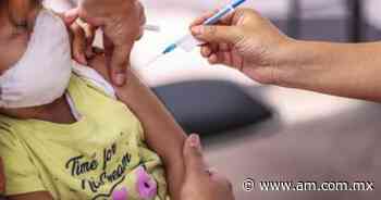 Amplían campaña de vacunación contra sarampión y rubéola en Tulancingo - Periódico AM