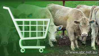 A lot of us have turned to shopping online during the pandemic, it seems farmers did the same