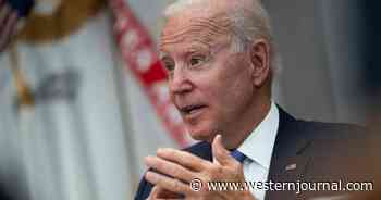 Lobbyist Brother of Top Biden Aide Sees Skyrocketing Business Since Biden Became POTUS