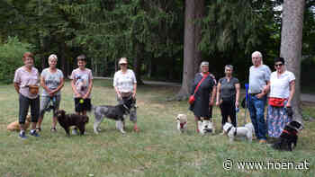 Neunkirchen - Freilaufzone: Viel Kritik an Politik - NÖN.at