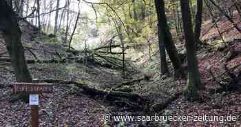 Tipps für Aktivitäten im Kreis Neunkirchen - Saarbrücker Zeitung