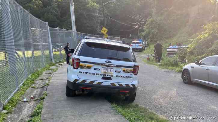 1 Dead After Shooting In South Side Slopes