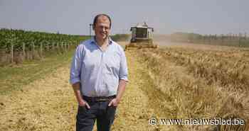 Binnenkort zit er Limburgse gerst in uw Cristal