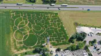 Maislabyrinth in Seligweiler eröffnet: Eine Ente ist das Motiv