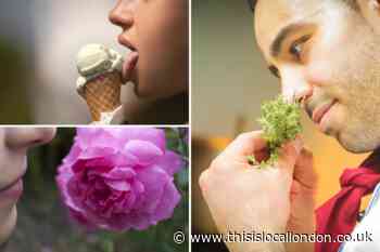 Tips to regain your sense of taste and smell after Covid