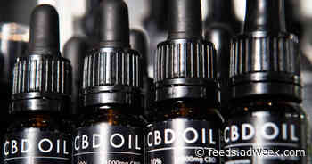 The CBD Industry Just Shed 1,000 Brands. Here’s Why Analysts Still See Strong Growth Ahead