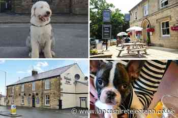 10 dog-friendly pubs you can visit in East Lancashire