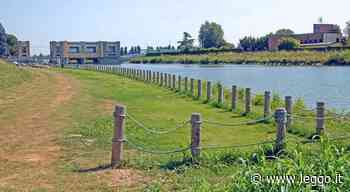Padova, torna in azione il maniaco esibizionista del lungargine: sbuca dall'erba e molesta le donne al solarium - leggo.it