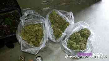 San Jacopino: trovato con un chilo di 'erba' in casa, arrestato - FirenzeToday