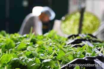 Pochi sanno che questa profumatissima erba aromatica aiuta ad aumentare i livelli di magnesio - Proiezioni di Borsa