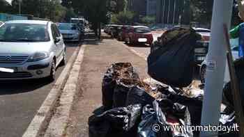 Casal Bruciato: erba alta e rifiuti. A riportare il decoro ci pensano i cittadini - RomaToday