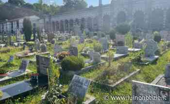 Ancora erba alta al cimitero di Luino, cittadini indignati - Luino Notizie