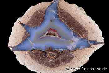 Naturkundemuseum würdigt Vogtländer: Der Haare schneidende Mineralien-Sammler - Freie Presse