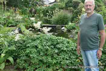 Grünes Paradies unter der Kaukasischen Klappernuss - Freie Presse