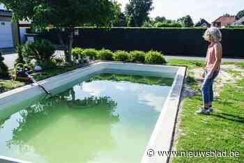 Voorschot betaald, maar nooit een zwembad gezien: tientallen klanten van Whoppa Pool zijn opgelicht