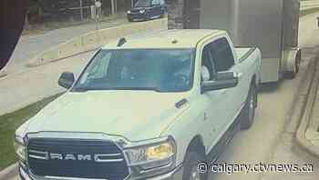 Joint operation by RCMP and Lethbridge police results in charges against 3 people - CTV Toronto