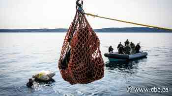 Bell Island's got an explosive problem — and these military divers are back to defuse it