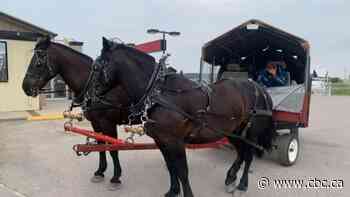 'It's renewed my faith in people': Seniors on wagon journey through Sask. encounter generosity