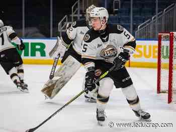 Saints bolster blueline with recent signings - Leduc Representative