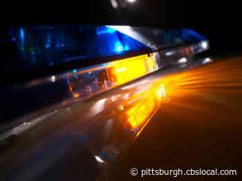 Police: 18-Year-Old Shot, Killed Overnight In McKeesport