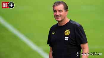 Borussia Dortmund: Holen Sie jetzt noch einen Verteidiger, Michael Zorc? - BILD