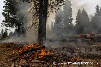 States lend support as wildfires blast through western US - St Helens Star