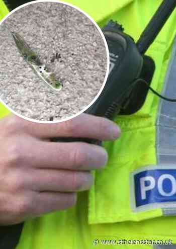 Knife seized in St Helens town centre - St Helens Star