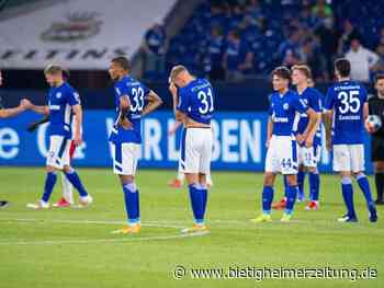 2. Liga: Schalke verliert, gewinnt aber Fans zurück - Bietigheim-Bissingen - Bietigheimer Zeitung