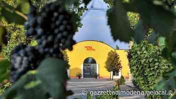 Monari Federzoni investe sul green e sostenibilità - La Gazzetta di Modena