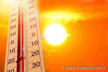 Estate sicura a Modena: monitoraggio persone fragili e numero verde - Modena 2000