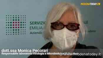VIDEO | Anche a Modena la variante "delta" diventa maggioritaria - ModenaToday