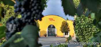 Monari Federzoni, la via sostenibile dell’Aceto Balsamico di Modena Igp - Mixer Planet