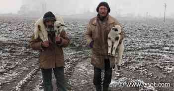 2021 iPhone Photography Awards: Take a look at these stunning winning photos     - CNET