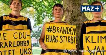 Potsdam: Klima-Aktivistin stört Wahlkampf von CDU-Bundestagskandidatin Saskia Ludwig - Märkische Allgemeine Zeitung
