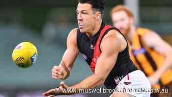 Bombers' Shiel in line for AFL return - Muswellbrook Chronicle