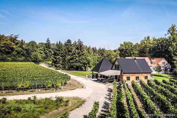 Het Vlaamse wijndomein waar de familie in de fles zit: “Elk van de elf kleinkinderen heeft een eigen wijn”