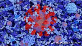 How early was the novel coronavirus circulating? - Livescience.com